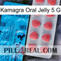 Kamagra Oral Jelly 5Gm new14